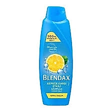 BLENDAX 500ML ŞAMPUAN KEPEĞE KARŞI ETKİ